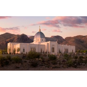 Tucson Arizona Temple Recommend Holder